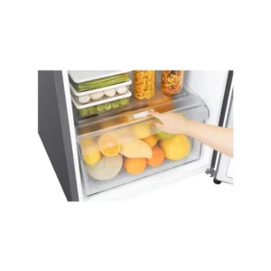 LG  187Litres Top Freezer Refrigerator  Smart Inverter Compressor - Image 5